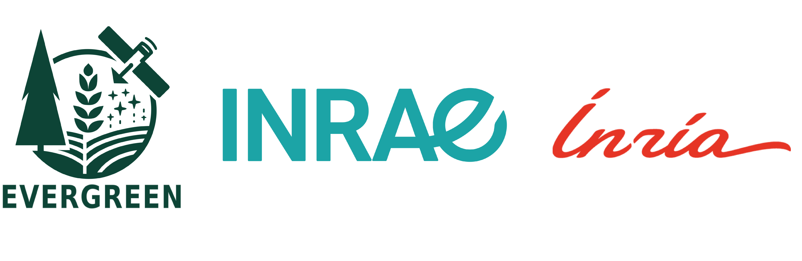 Team Inria logo